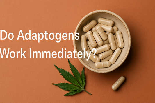 Do Adaptogens Work Immediately?
