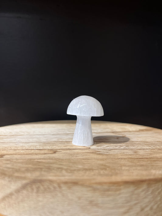 Tiny Selenite Mushroom