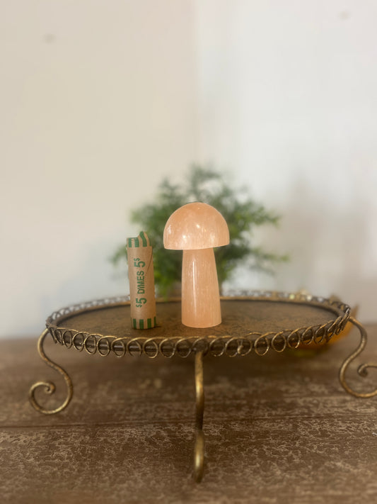 Orange Selenite Mushroom