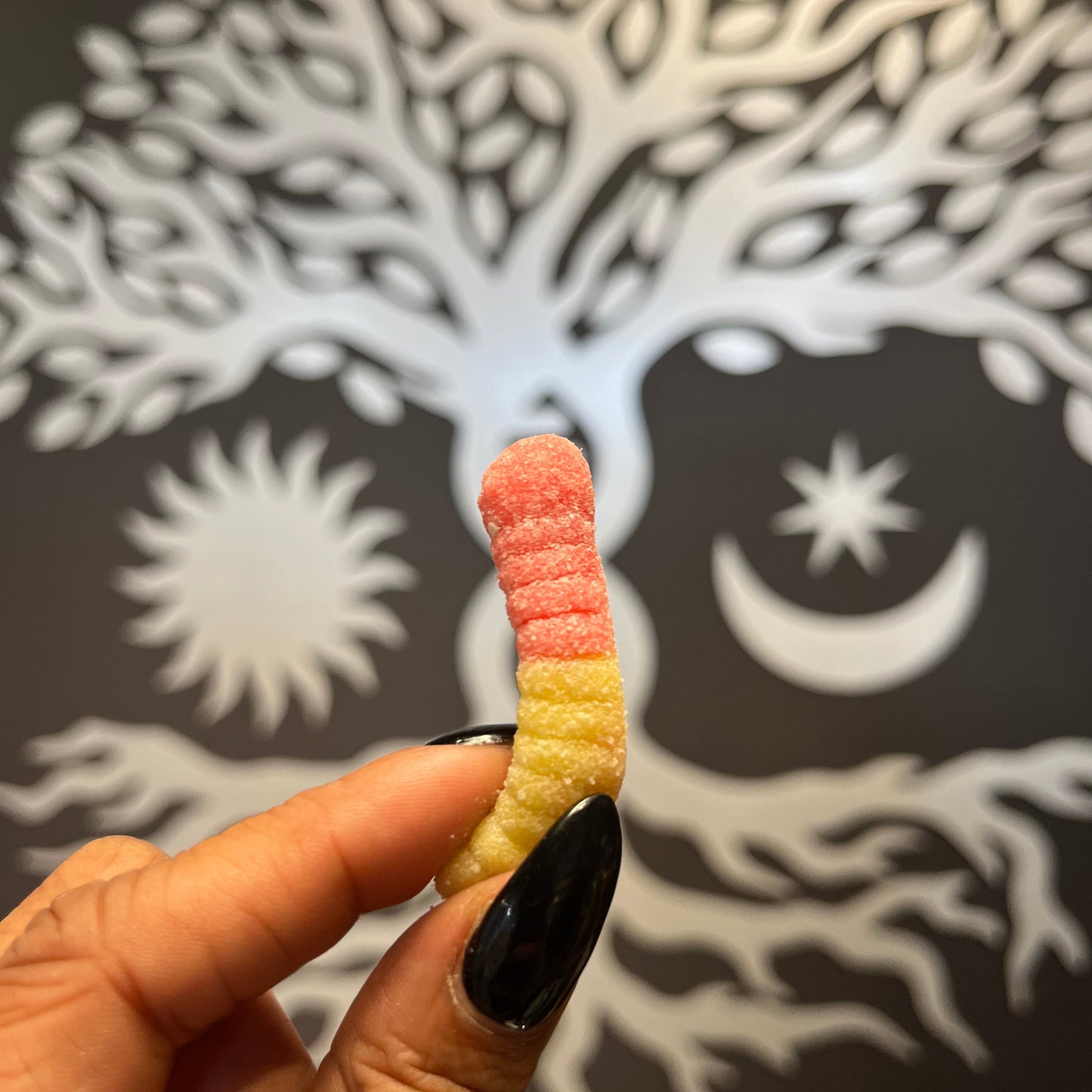 20pk Chill Gummies